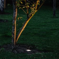 QAZQA 6er Set Outdoor Bodenstrahler Edelstahl IP65 - Delux -Outdoor Lights Store 7746 104352 8