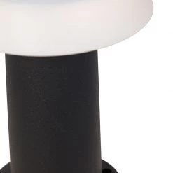 QAZQA Stehende Außenleuchte schwarz inkl. LED und Dimmer IP55 Solar - Felice -Outdoor Lights Store 8896 104029 8